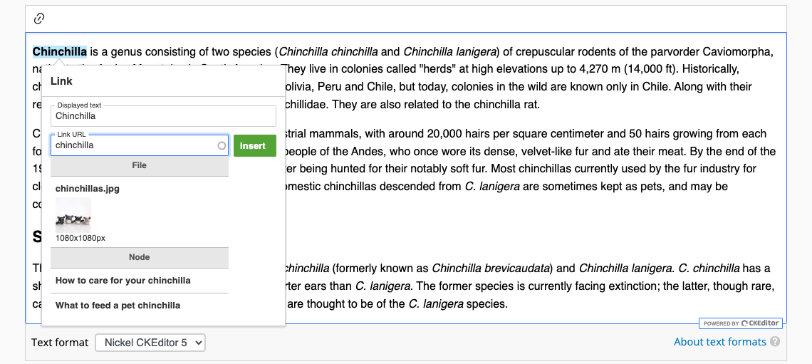 A screenshot of the CKEditor 5 link button, enhanced with a Linkit autocomplete field, being used to link the word Chinchilla to existing site content related to chinchillas.