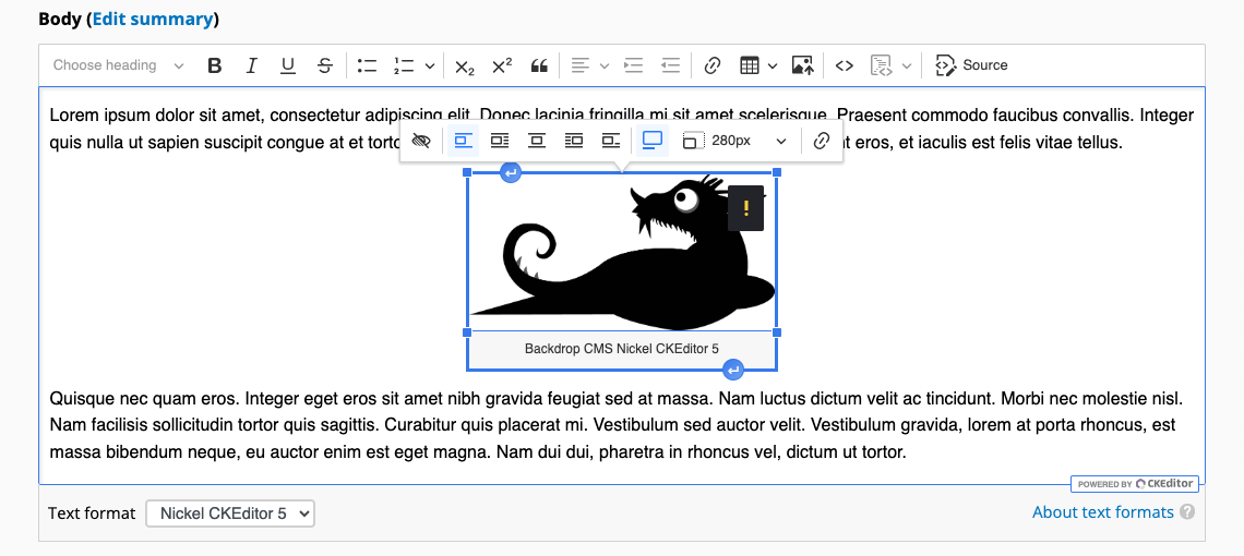 A screenshot of CKEditor 5 being used to edit an image embedded between two paragraphs.