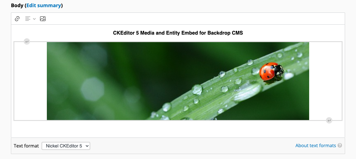 A screenshot of a file entity, embedded into a textarea using Entity Embed and CKEditor 5. The file is selected, resulting in three operations being presented: a button to edit the embed options, a button to create a hyperlink and a button to visit the entity's edit form.