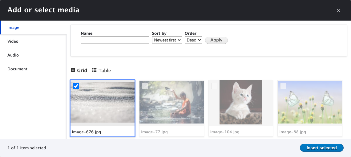 A screenshot of the media library being used to select a file.