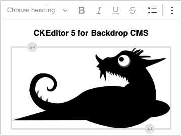 A screenshot of CKEditor 5 being used to edit an image embedded between two paragraphs.