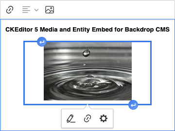 A screenshot of selecting a file entity embedded into a textarea using Entity Embed and CKEditor 5.